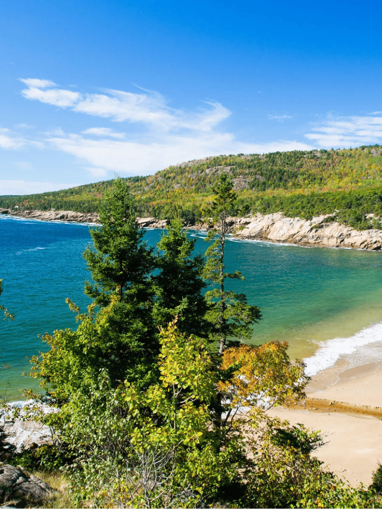 Scenic coastal landscape with lush greenery, rocky shoreline, and vibrant blue water on a sunny day.