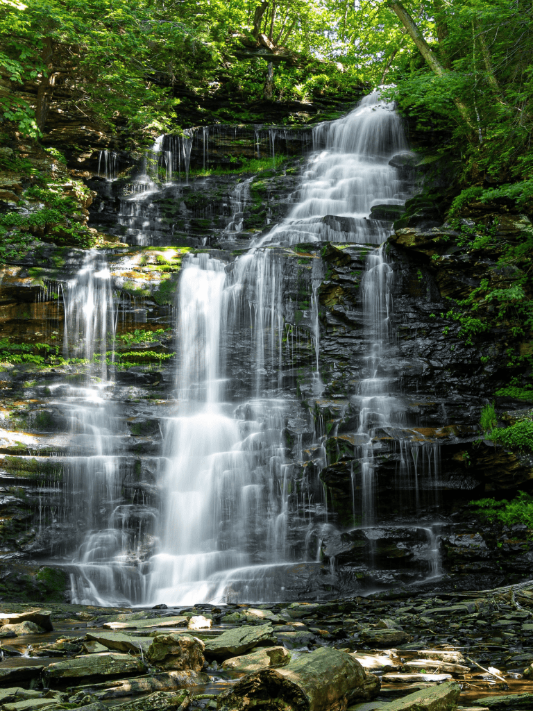 Tranquil waterfall in lush forest surrounded by vibrant greenery.