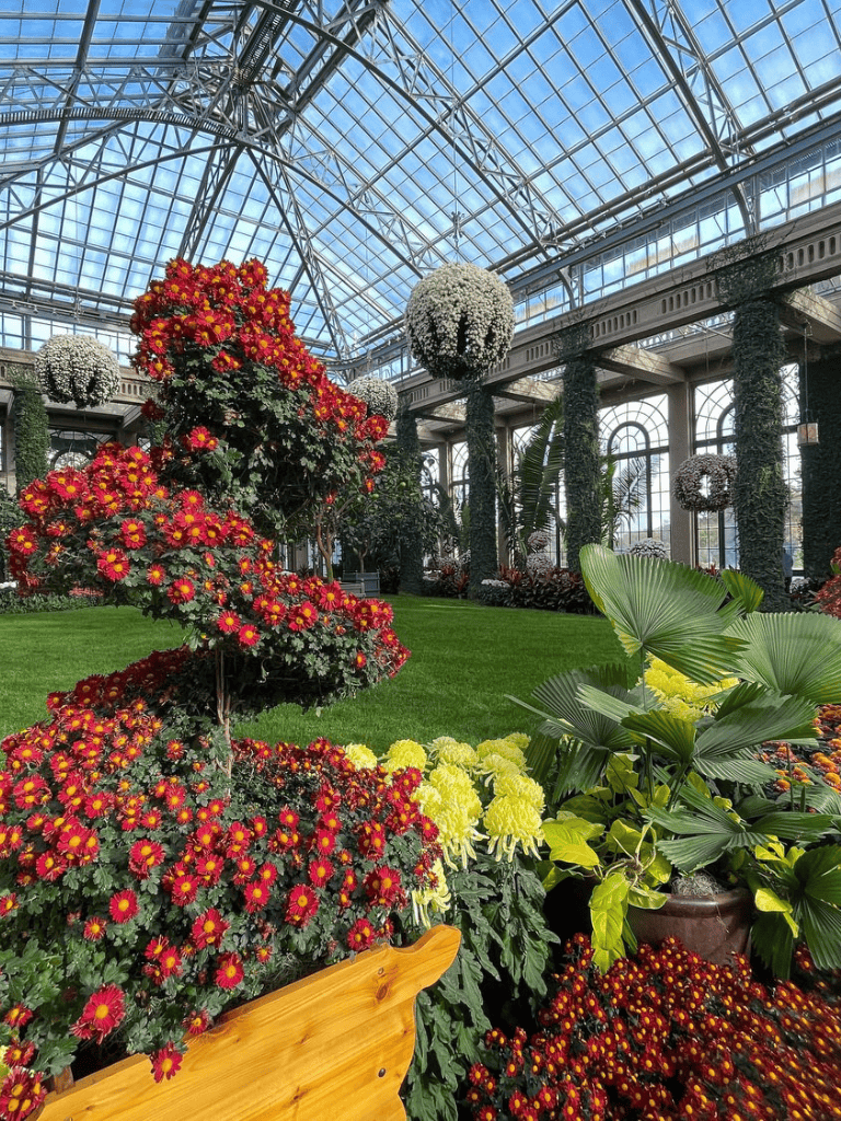 Vibrant flowers and lush greenery inside a glass conservatory at QuestForDirections botanical gardens.