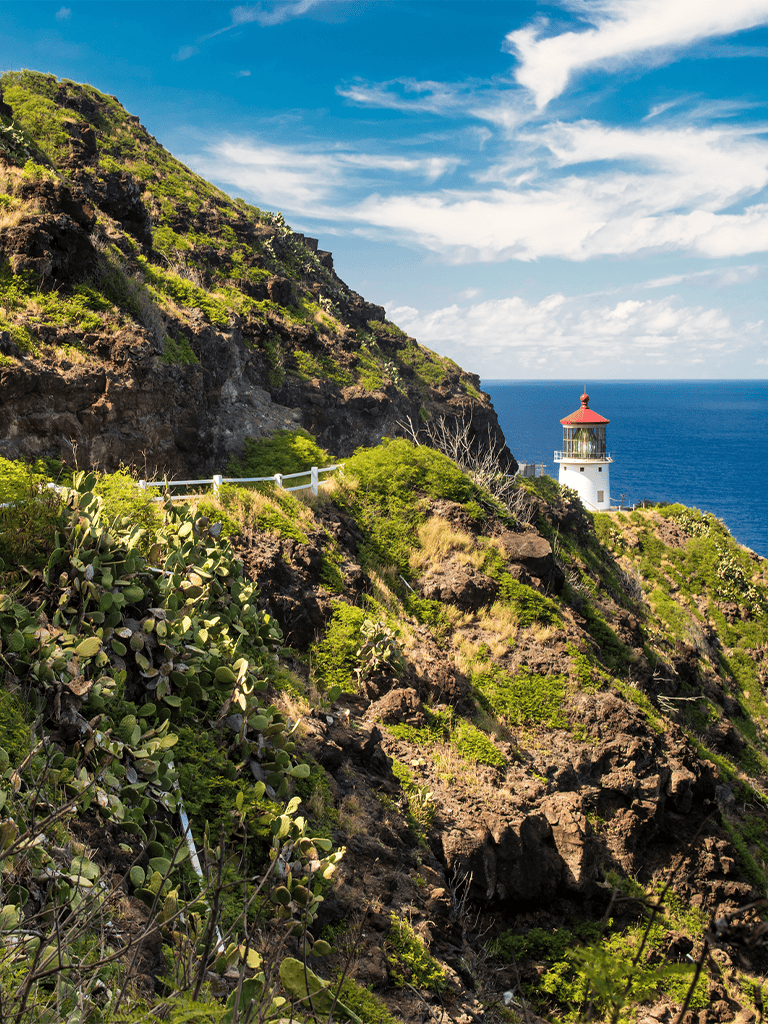 Lighthouse on rugged coastal cliffs with cacti, overlooking the ocean and blue sky.