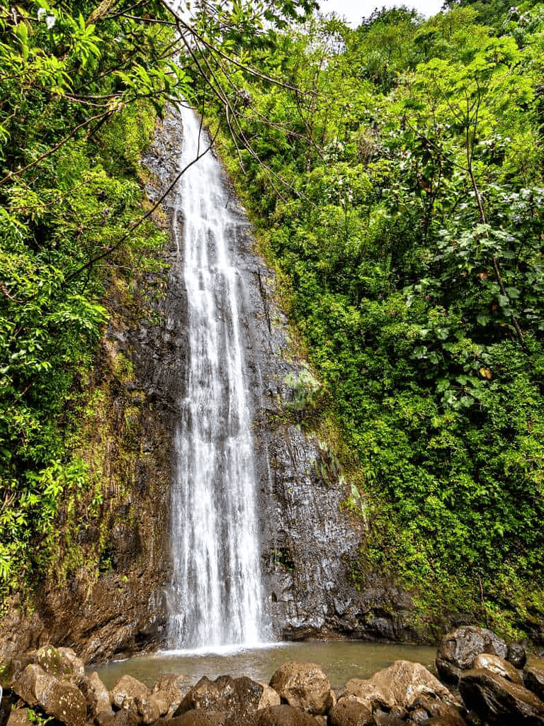 Vibrant forest waterfall in lush greenery with rocks at the base, showcasing nature's beauty and serenity.