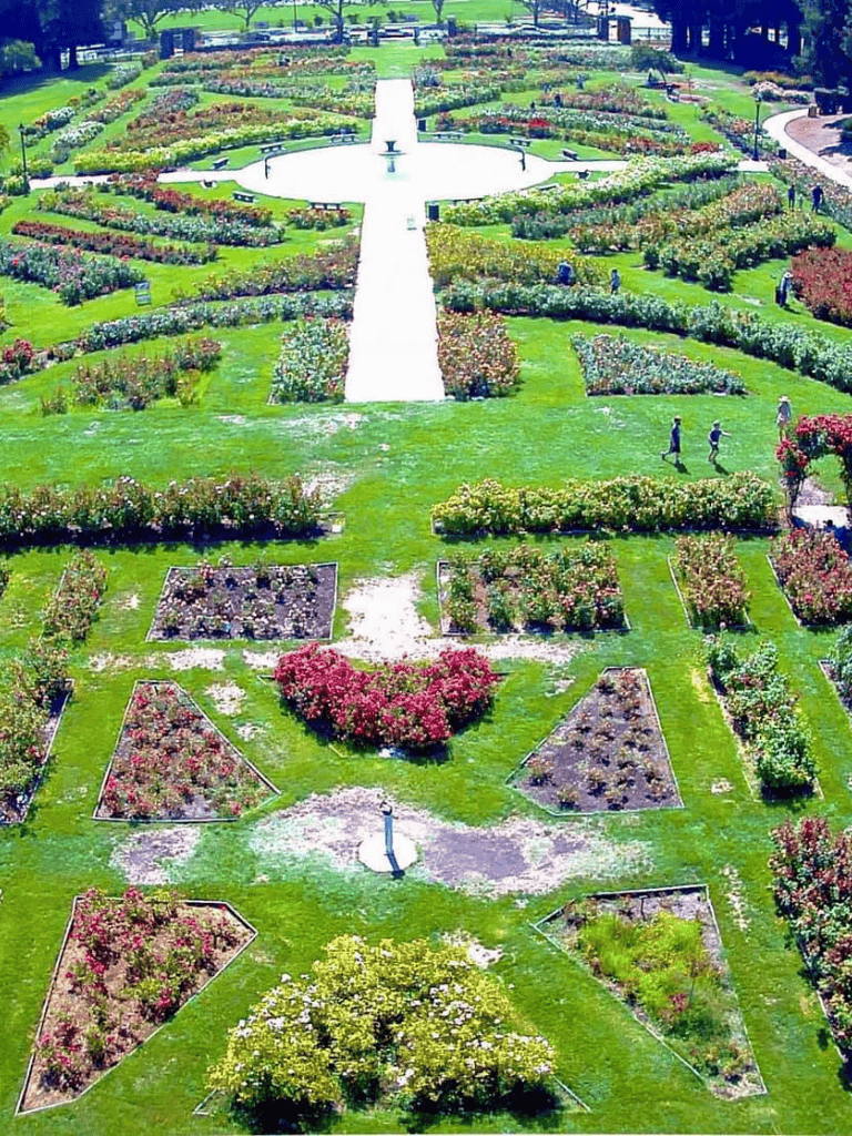 Pink and green flower garden with walkways and water fountain, scenic outdoor botanical park.