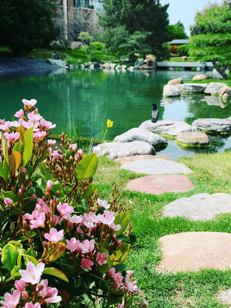 Tranquil garden pond with colorful flowers and stepping stones in lush greenery.
