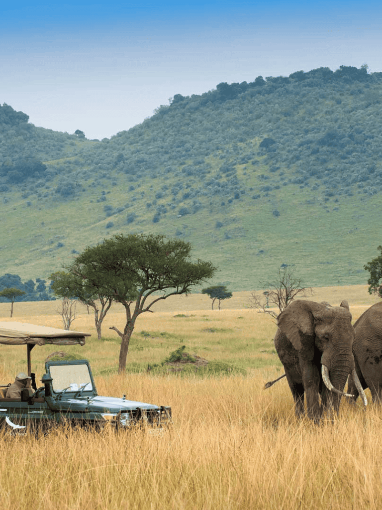African safari landscape with elephants and a safari vehicle in a grassy plain.