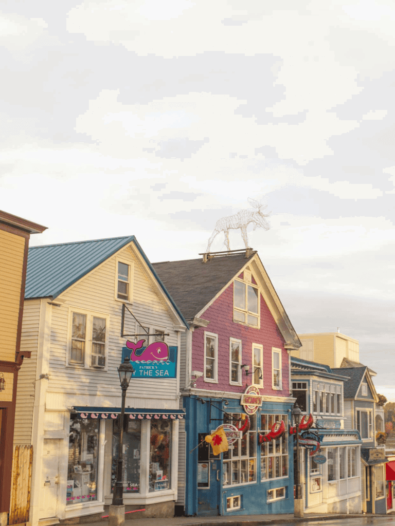 Colorful seaside town buildings with seafood restaurant signs and a reindeer sculpture on the roof, coastal travel destination.