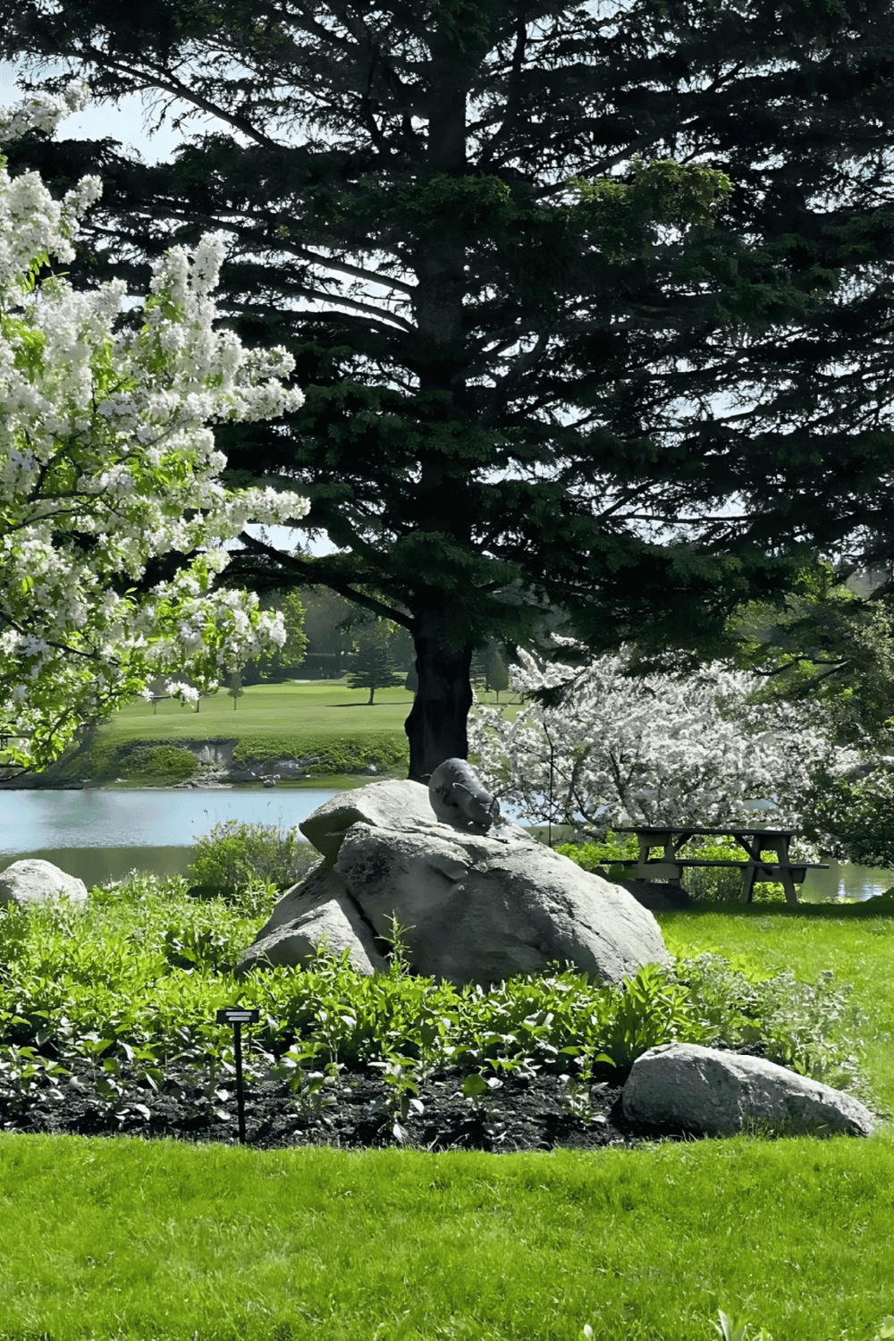 Peaceful garden scene with blooming cherry blossoms, lush greenery, and a tranquil pond, perfect for outdoor relaxation and nature walks.