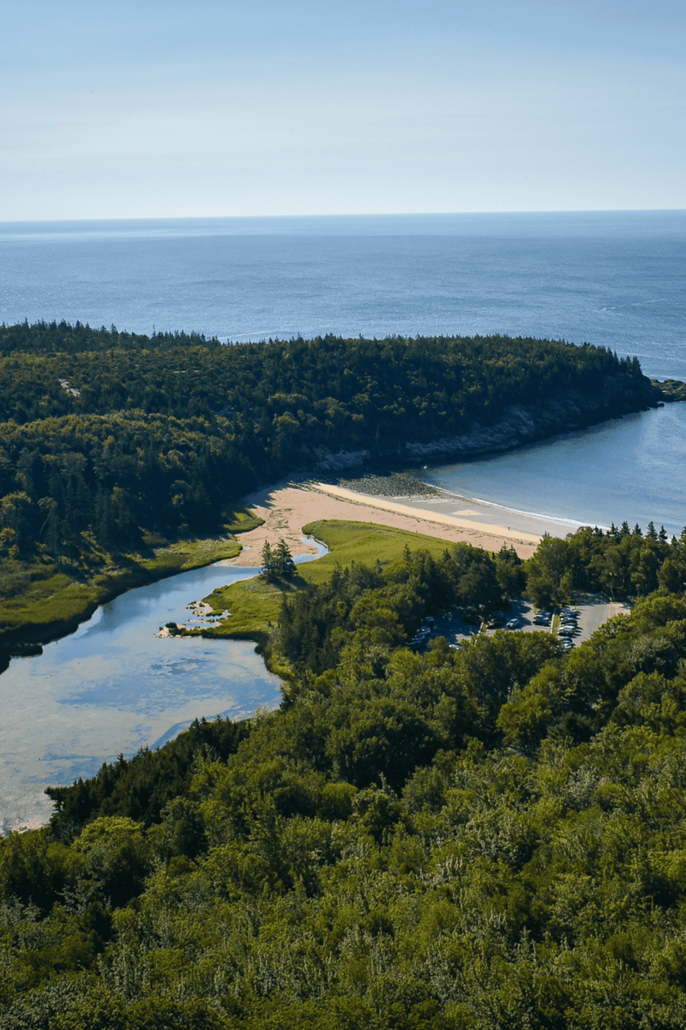 Rocky beach with dense green forest and ocean view from above, perfect for nature and coastal exploration.