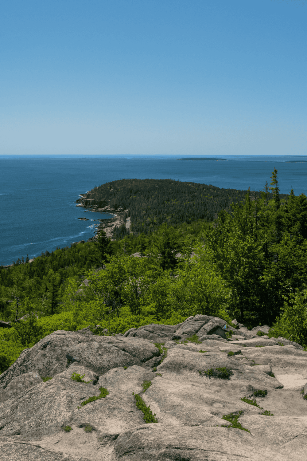 Breathtaking coastal view with lush green forest, rocky cliffs, and expansive ocean horizon.