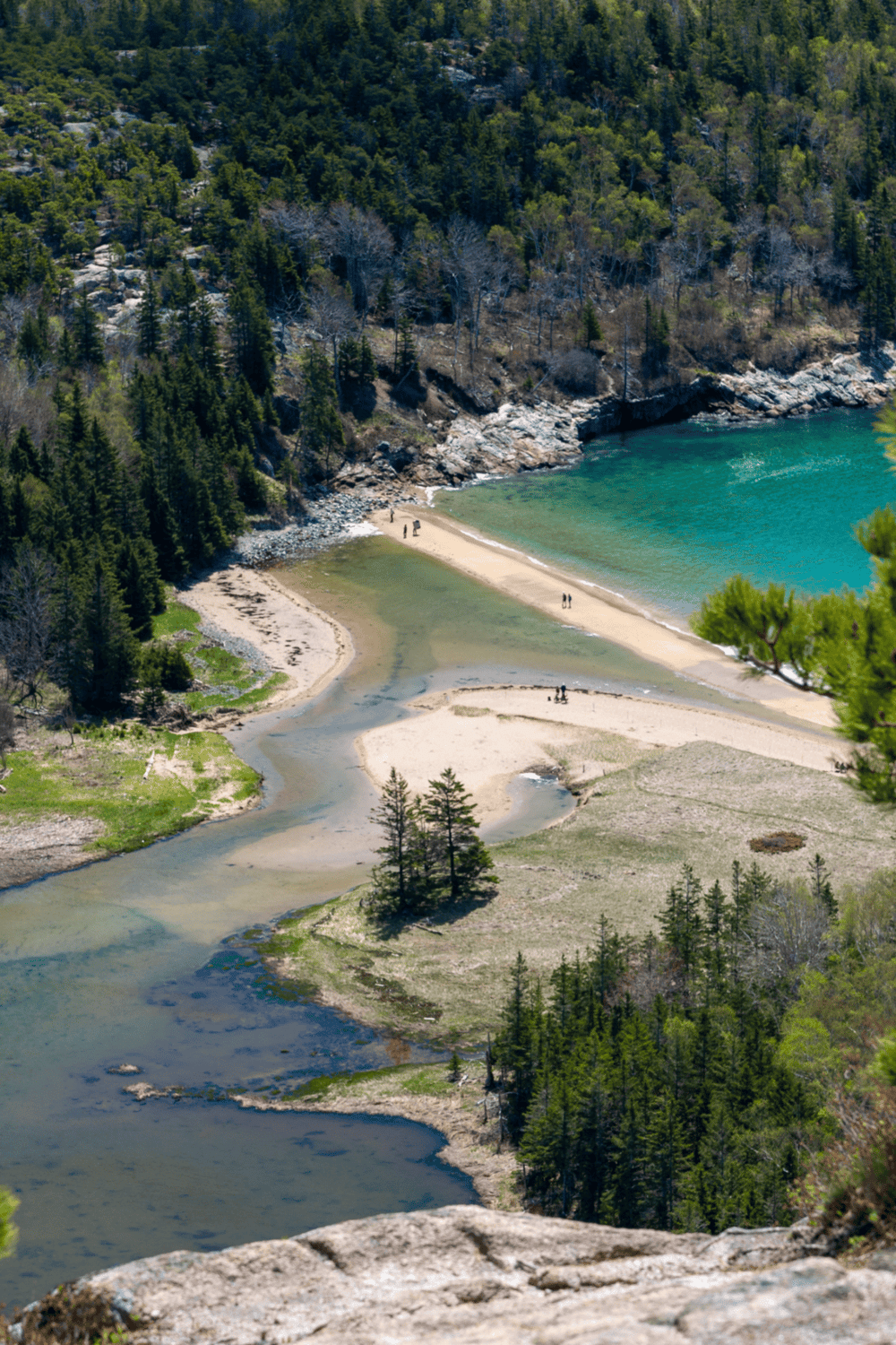 Serene coastal inlet with forested shoreline and sandy beach, ideal for nature exploration and outdoor adventures.