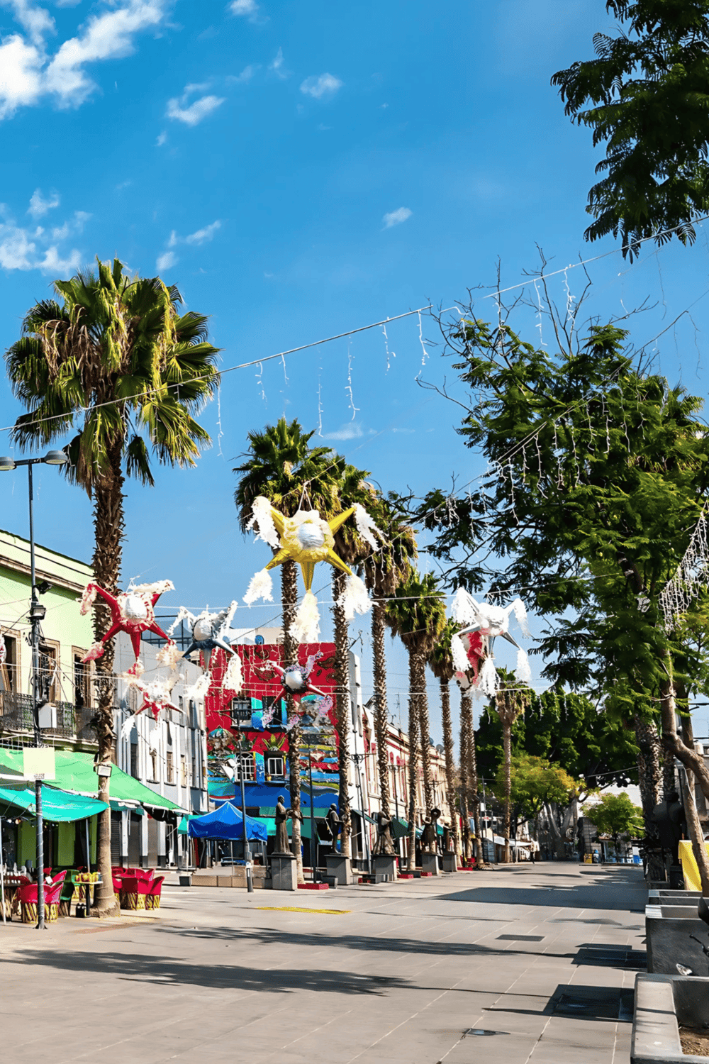 Colorful holiday decorations hanging between palm trees on a sunny street, highlighting a festive outdoor scene.