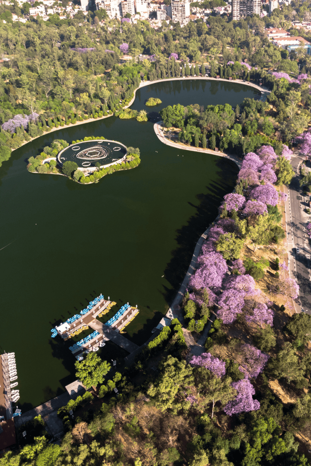 Aerial view of a park with water, lush greenery, and blooming purple trees in an urban setting.