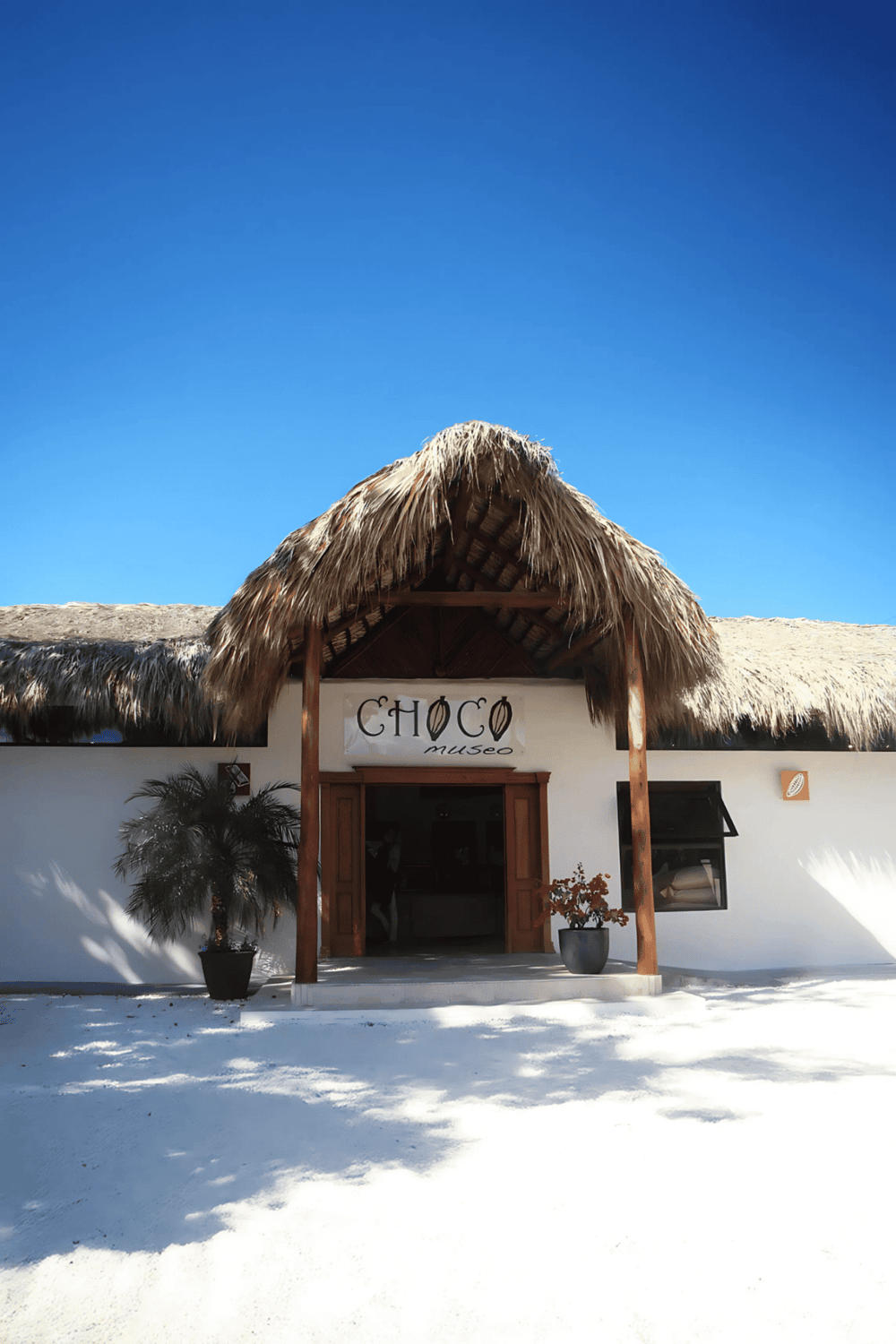Choco Museo building with thatched roof and tropical decor, sunny beach location, vibrant travel destination.