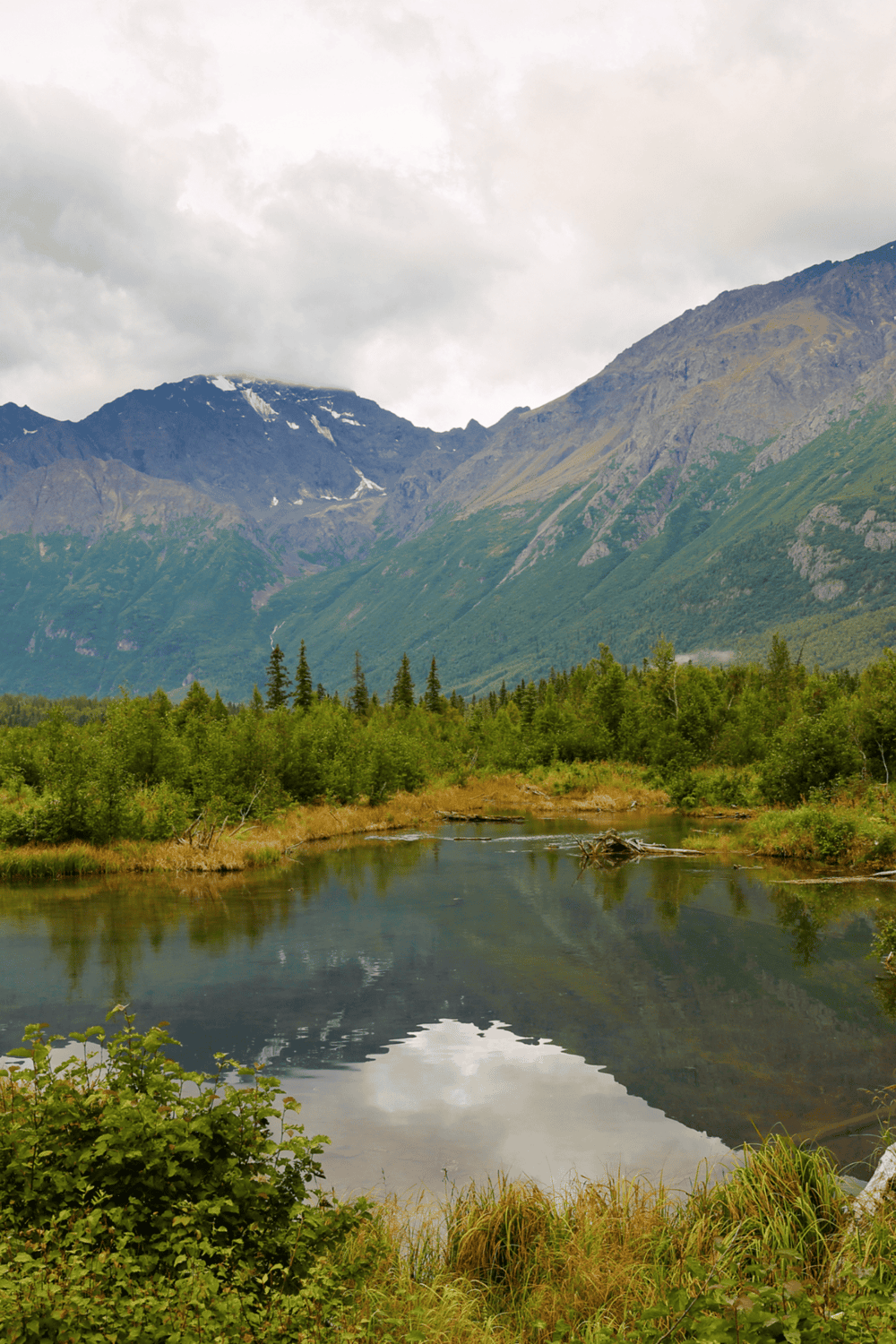 Serene mountain landscape with lush greenery, reflective river, and snow-capped peaks under cloudy sky.