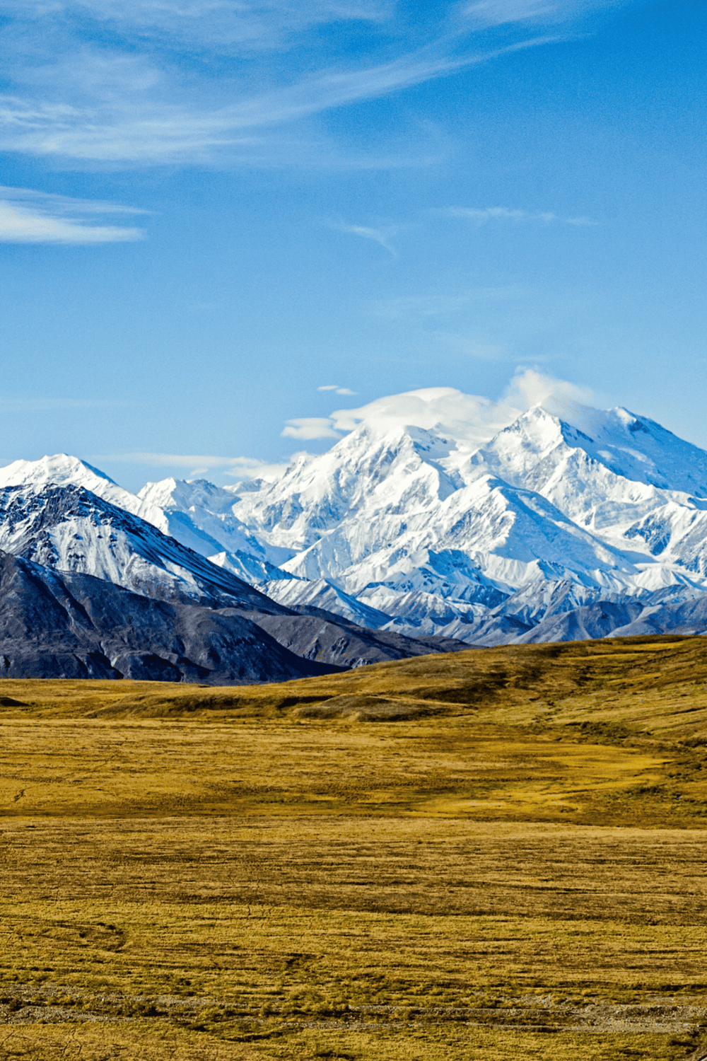Snow-capped mountain range in New Zealand with lush grassy plains in foreground.