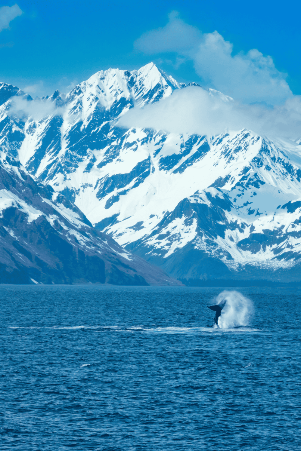 Snow-capped mountains and whale watching in Alaska for adventure travel enthusiasts.