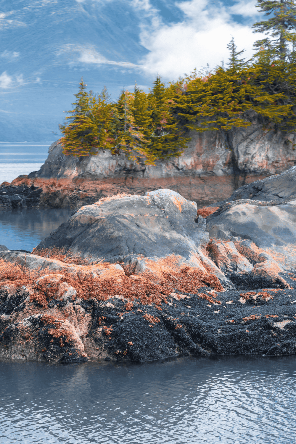 Rocky coastline with trees and mountain background, scenic natural landscape.