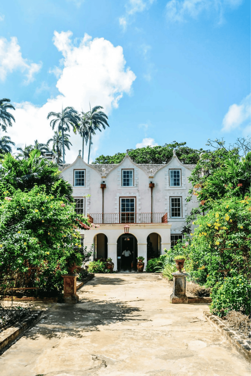Historic white mansion surrounded by lush greenery and palm trees, sunny blue sky.