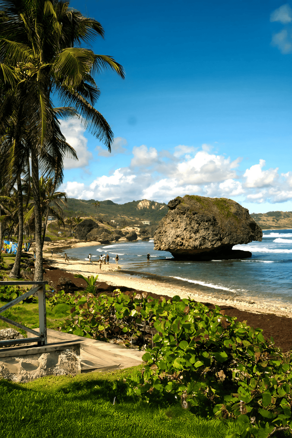 A tropical beach with palm trees, rocky formations, and people enjoying the sunny day.