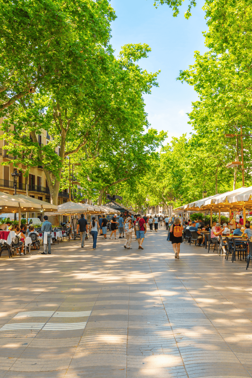 Vibrant outdoor dining street with lush green trees, bustling people, and charming cafes.