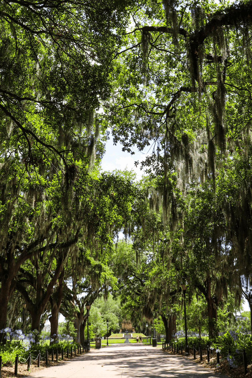 Lush green canopy with Spanish moss hanging, pioneer park, beautiful nature trail, Georgia heritage site.