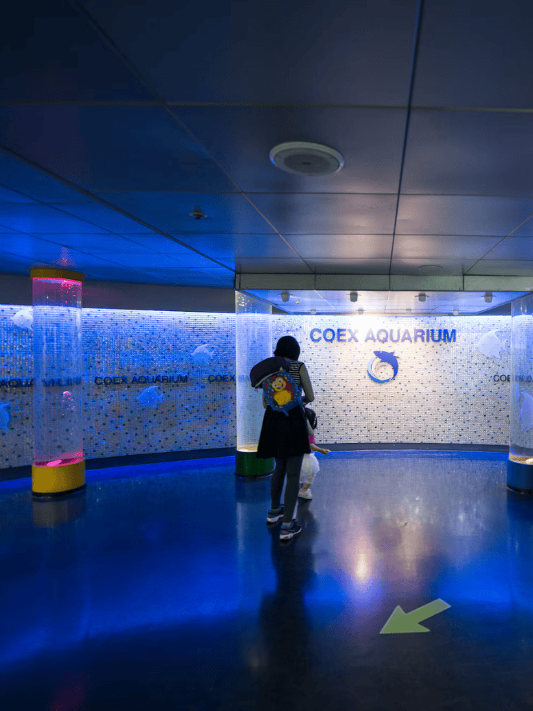 Indoor view of Coex Aquarium entrance with a person and child, showcasing vibrant aquatic exhibit lighting.