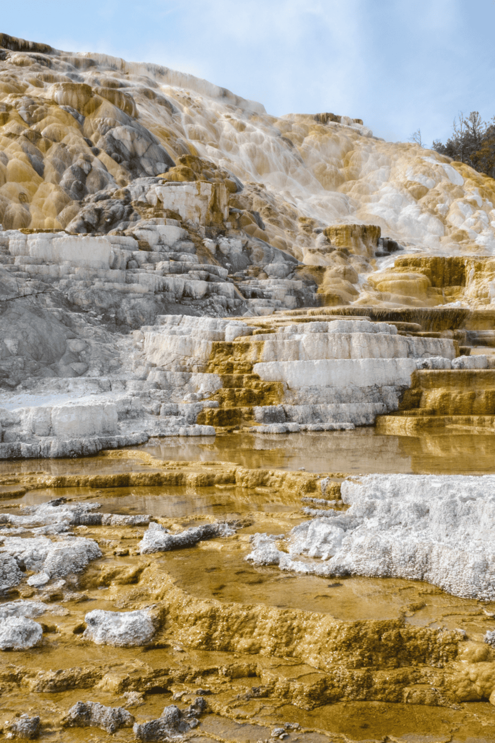 Steaming hot mineral terraces at Mammoth Hot Springs in Yellowstone National Park.