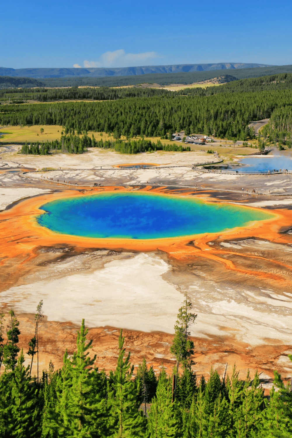 Vivid geothermal hot spring, colorful and vibrant in Yellowstone National Park, surrounded by lush green forest.