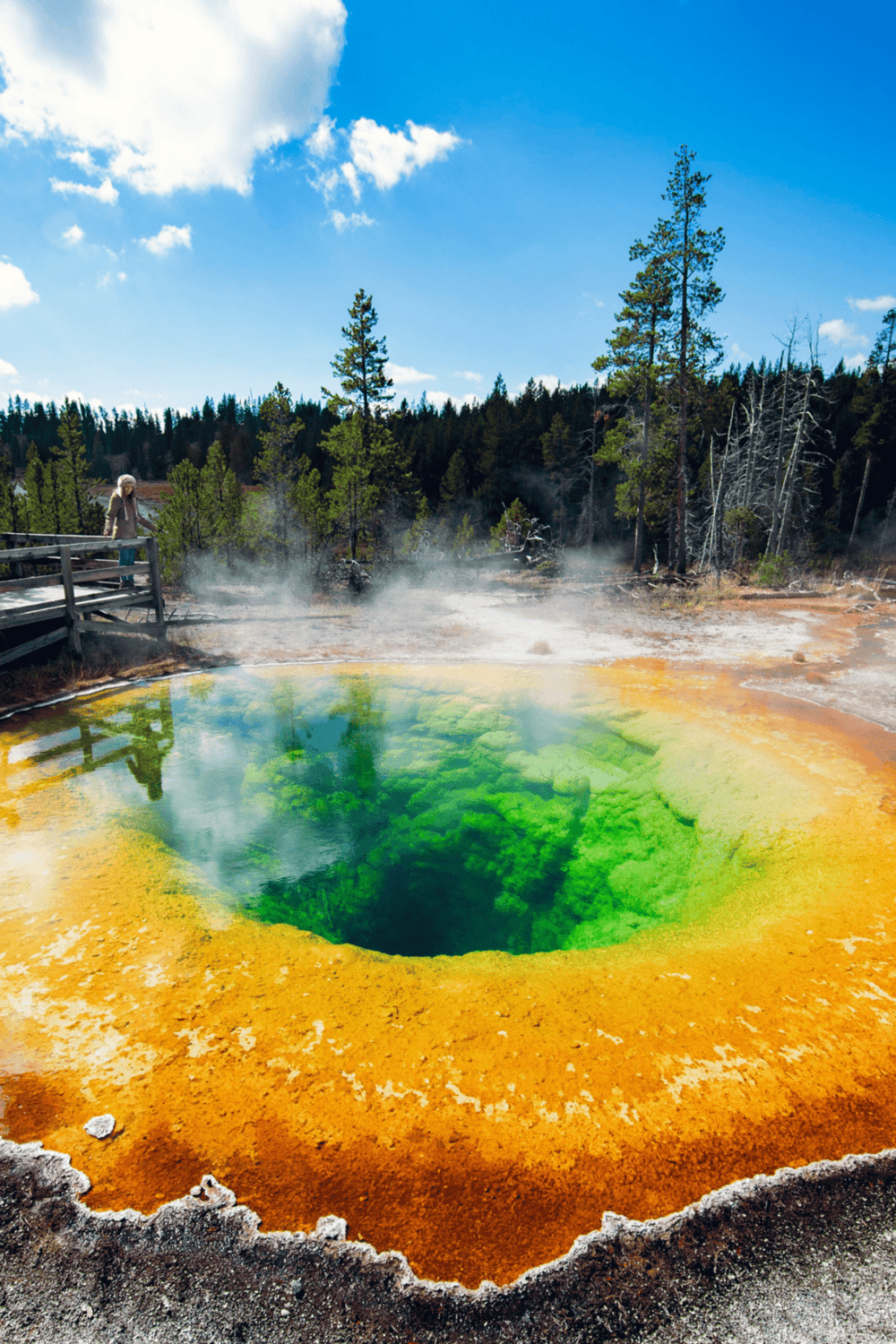 Ghost town geothermal hot spring with vibrant colors and steaming waters in Yellowstone National Park, Wyoming.