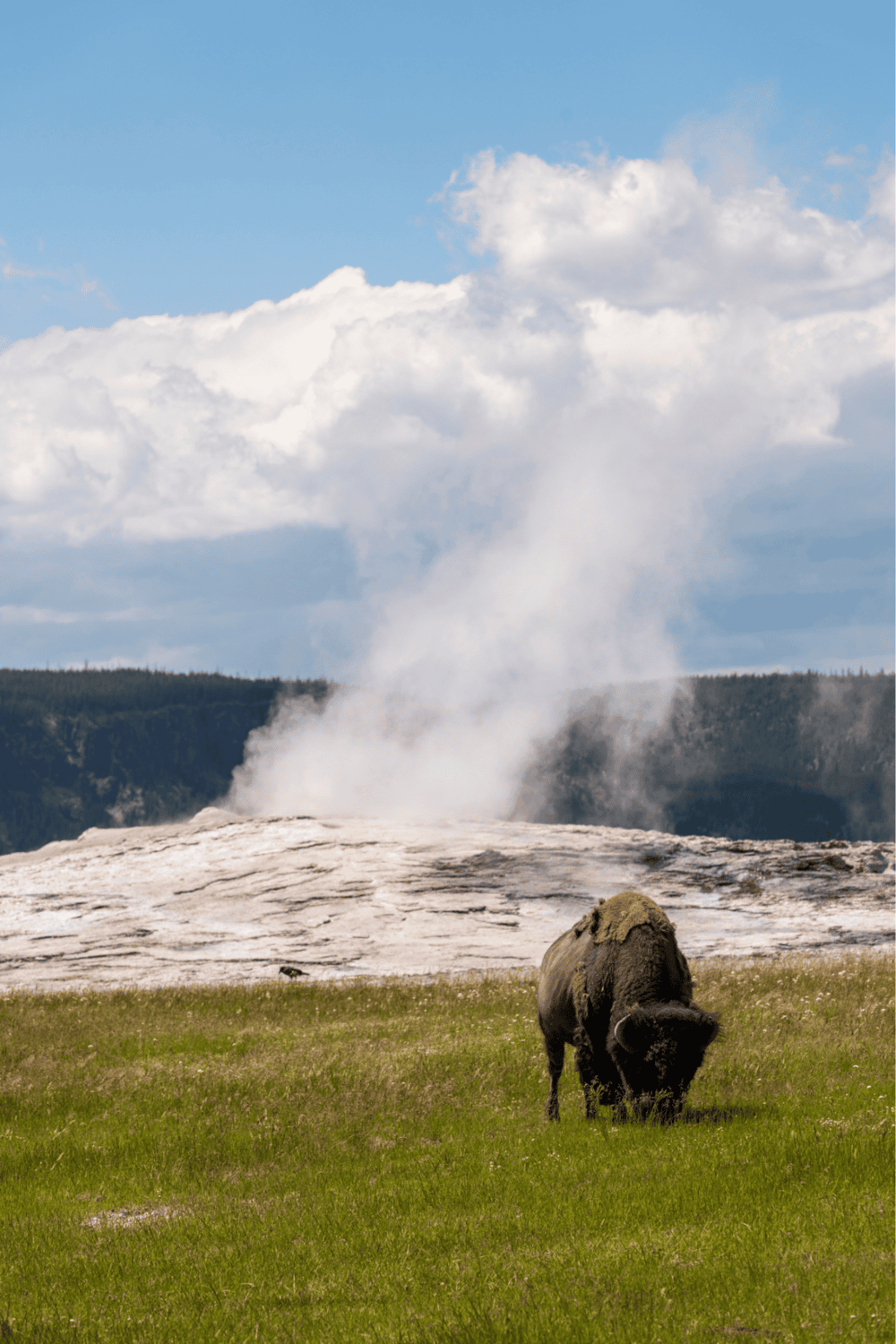 Vulcano geothermal activity with steaming hot springs and bubbling mud pots, natural geothermal landscape for adventure travel.
