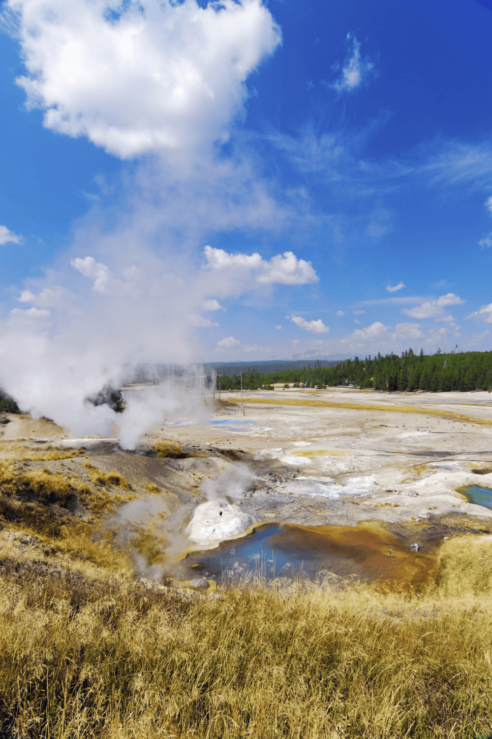 Steaming geothermal area with colorful hot springs in Yellowstone National Park.