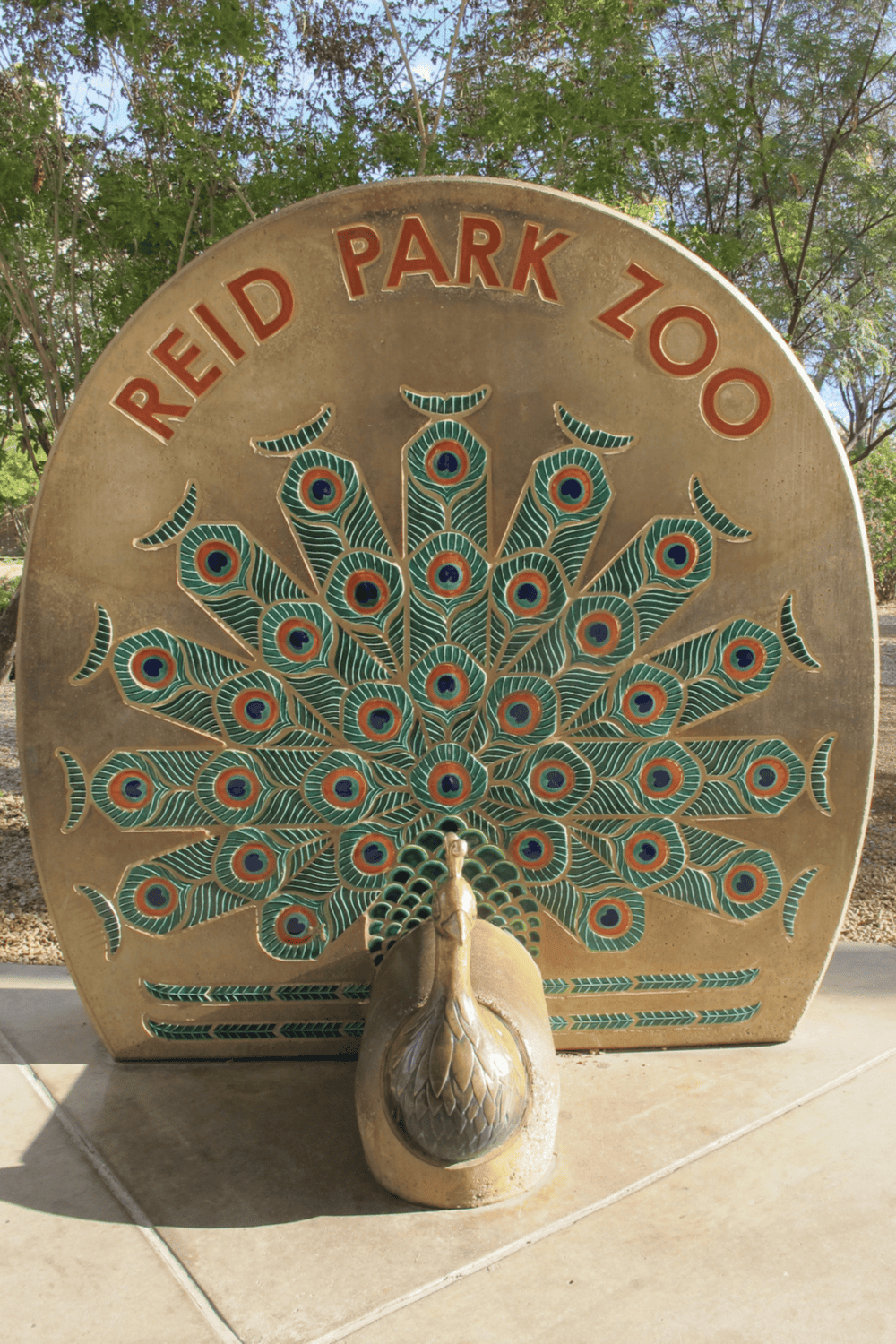 Colorful peacock sculpture at Reid Park Zoo entrance, highlighting zoo and wildlife conservation.