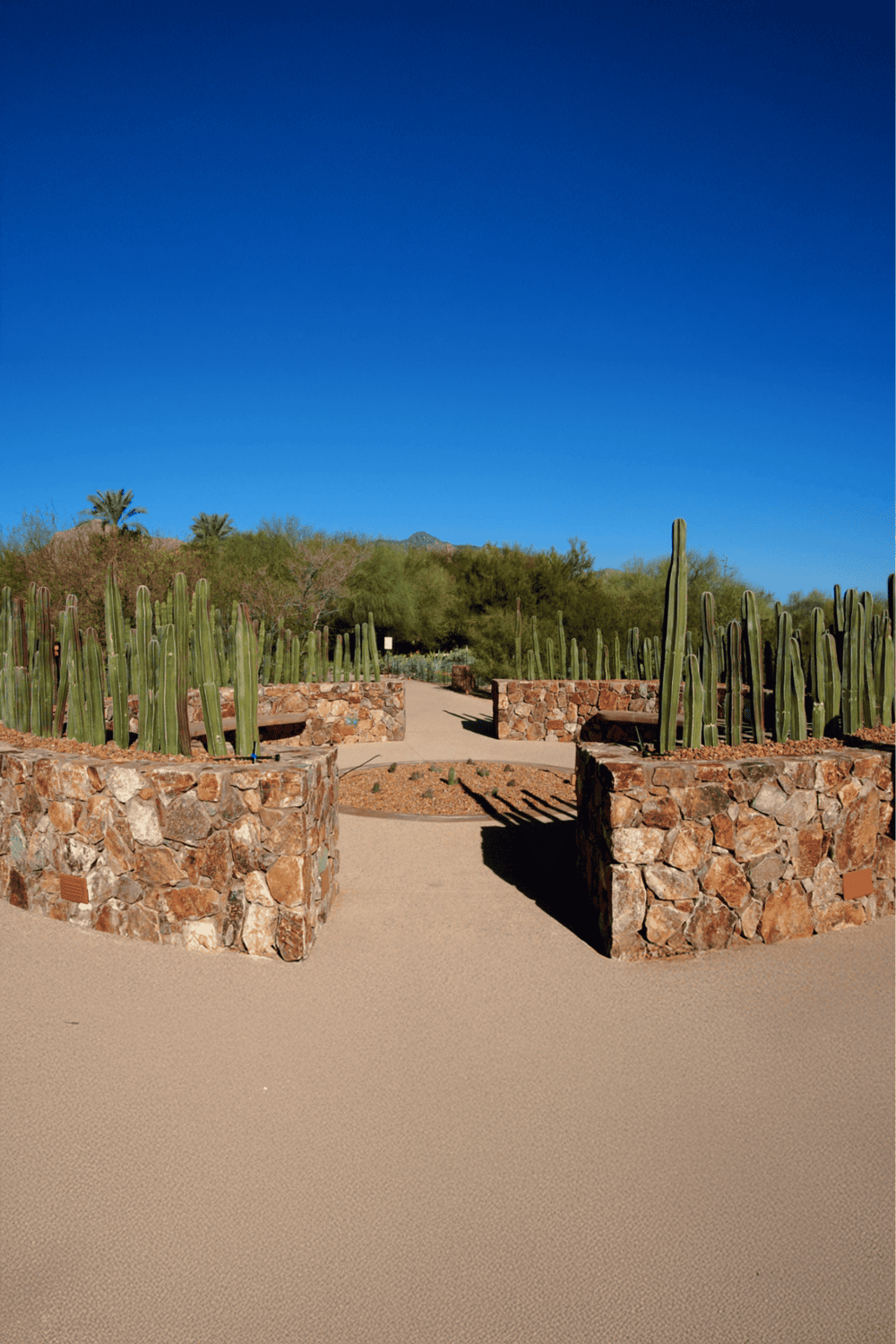 Cactus garden with stone planters and clear desert sky, showcasing Scottsdale Arizona outdoor attractions.