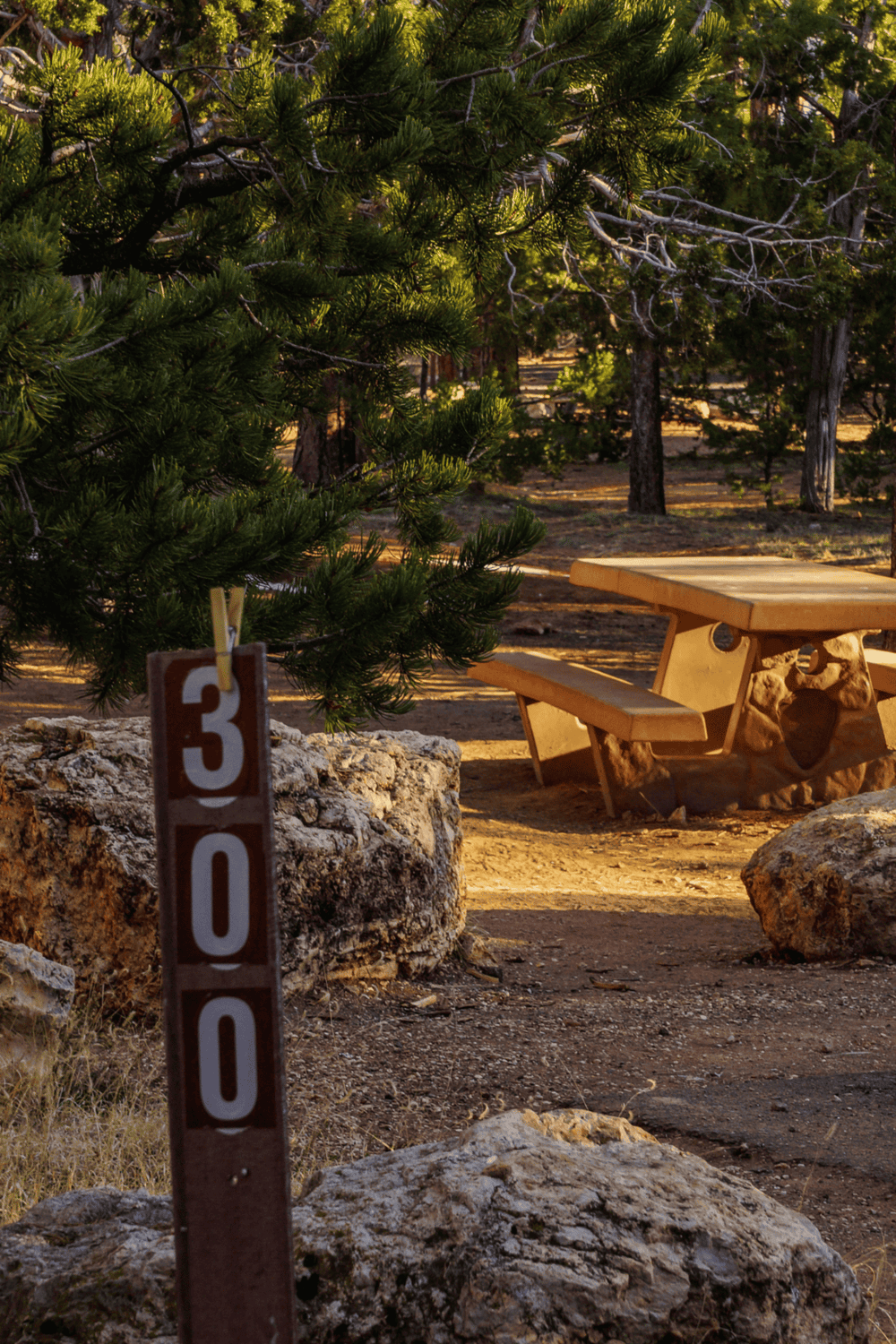 A peaceful forest picnic area with a wooden table, benches, and a trail marker, perfect for outdoor adventures and navigation.
