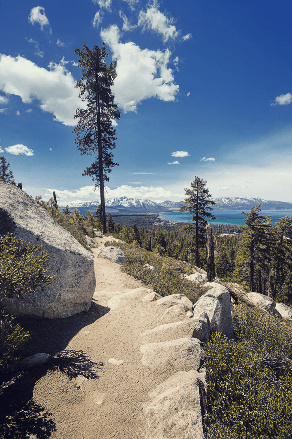 Breathtaking mountain trail near Lake Tahoe with scenic views of pine trees and snow-capped peaks.