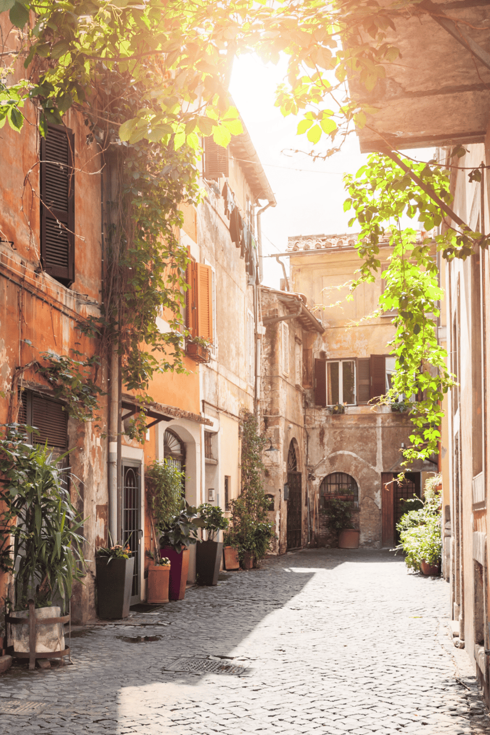 Serene old European alley with sunlit cobblestones, lush greenery, and vibrant potted plants.