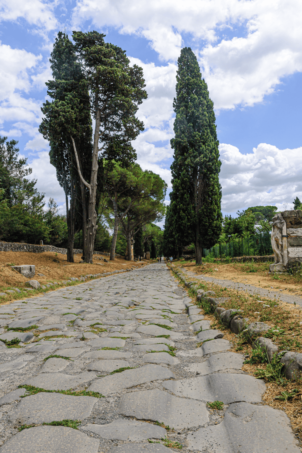 Ancient Roman cobblestone street with tall cypress trees in Rome, Italy.
