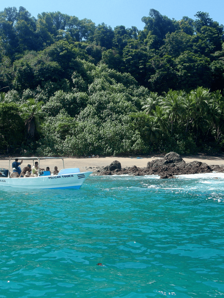 Relaxing tropical beach with tour boat and lush greenery, perfect for island adventures and nature exploration.