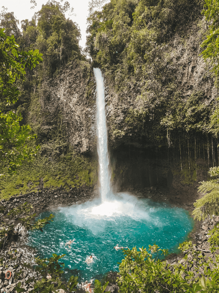 Serene waterfall cascading into a turquoise pool surrounded by lush green jungle vegetation.