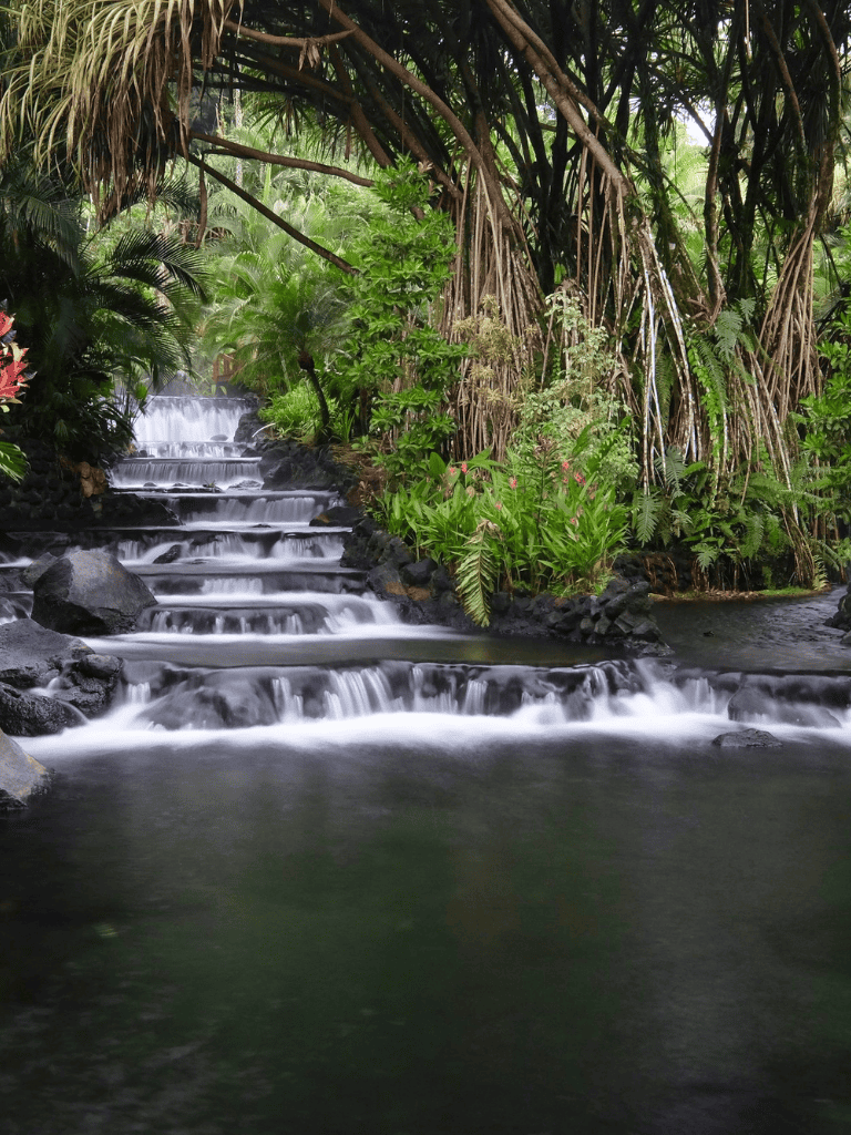 Serene jungle waterfall with lush tropical greenery and cascading water, ideal for nature exploration.