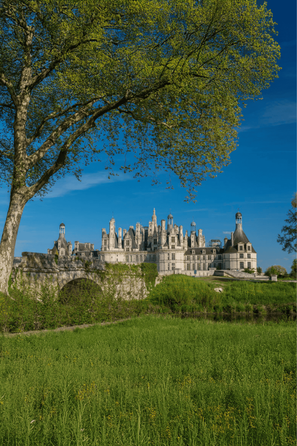 Majestic castle amidst green landscape with lush trees and bright blue sky.