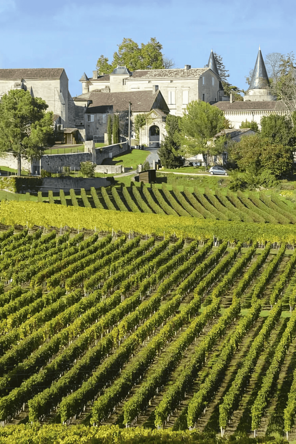 Vineyard and historic castle in wine country, scenic landscape, popular travel destination in the US.