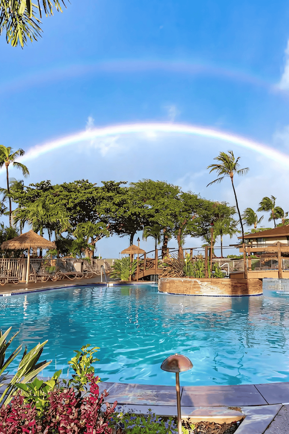 Rainbow over tropical poolside resort with lush greenery and palm trees in the background.