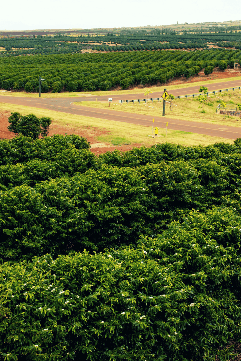 Lush green farmland and winding roads in rural area.