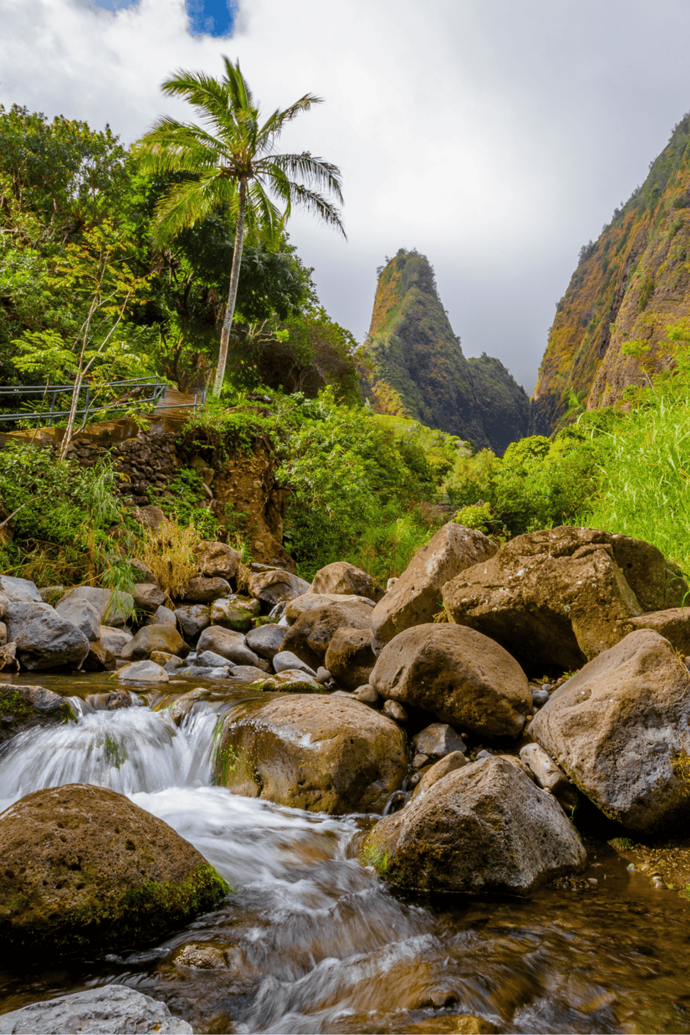 Lush tropical canyon with palm trees, rocky stream, and towering green mountains in a scenic rainforest.