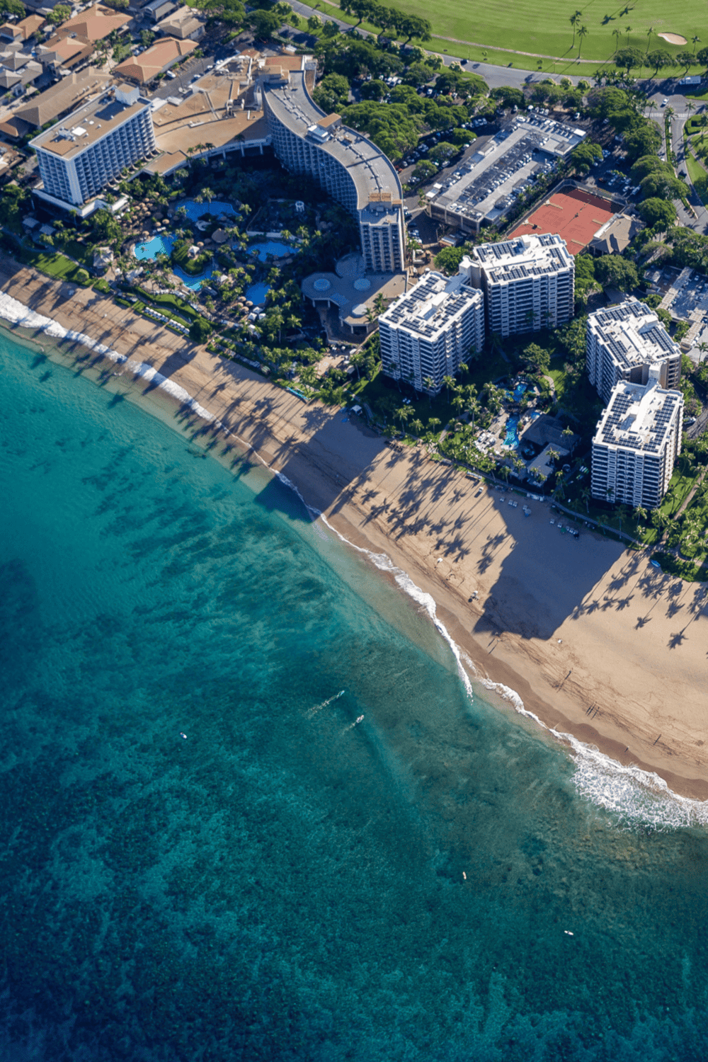 1. Beachfront hotel with pool and ocean views in a tropical resort destination.