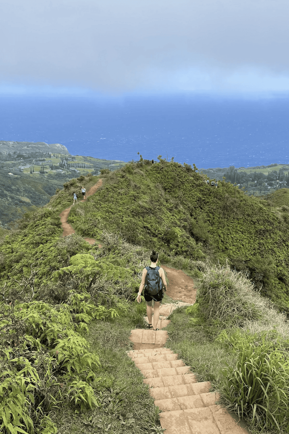 1. Hiker walking on mountain trail with ocean view in the background.