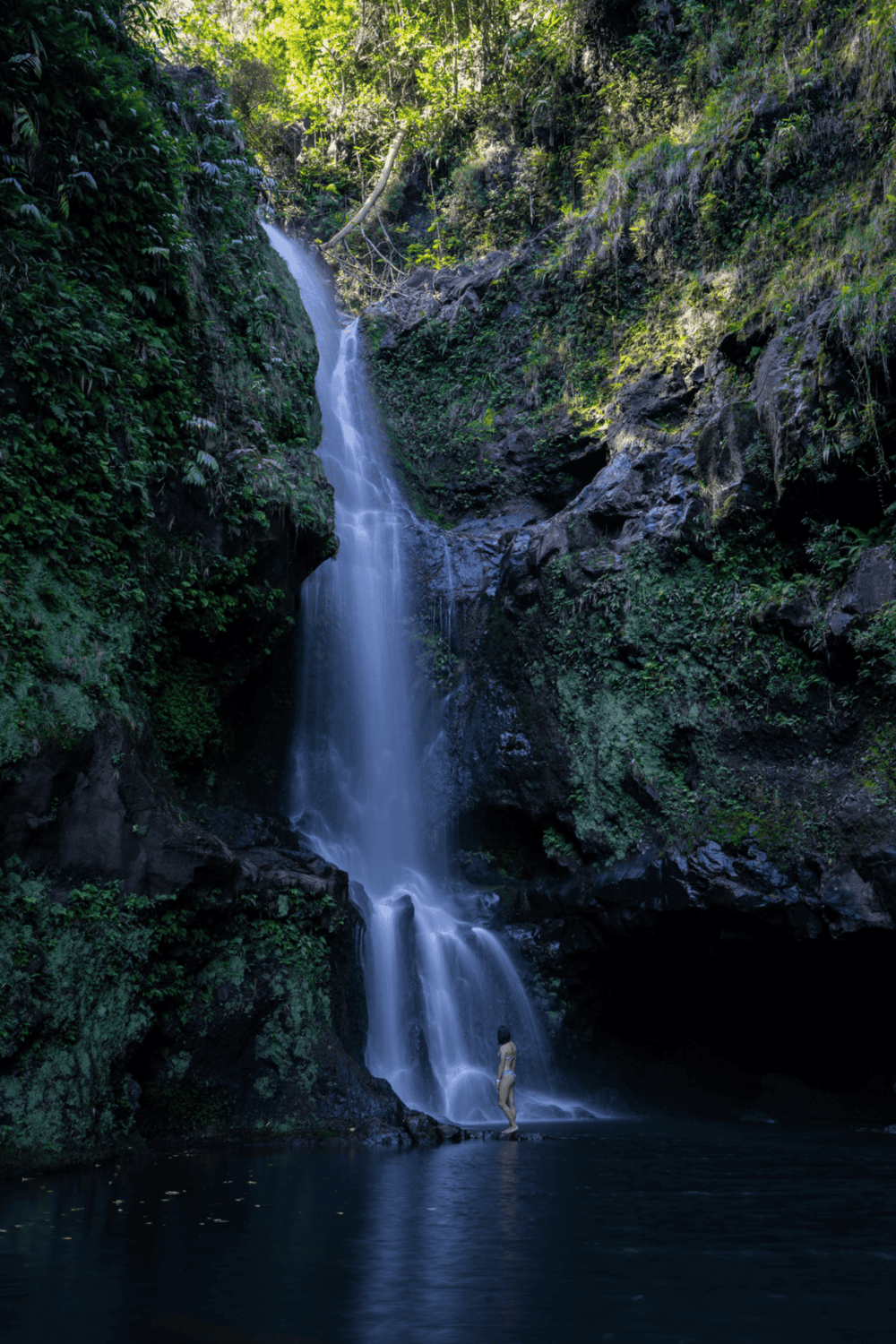Serene waterfall surrounded by lush greenery in a tropical forest setting.