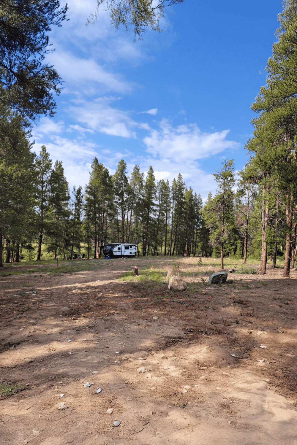 Secluded campsite with RV in a lush forest under a bright blue sky, ideal for outdoor adventures.
