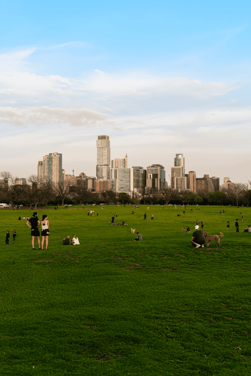 Downtown Los Angeles skyline with people relaxing in Griffith Park, vibrant urban park in California.