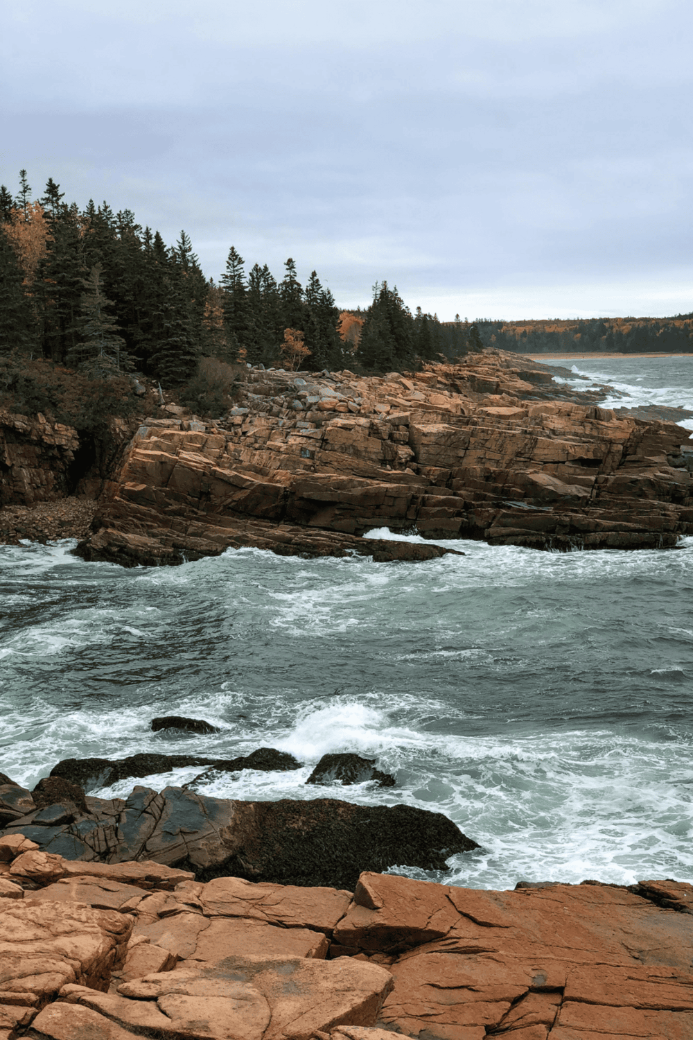 Rustic coastal landscape with rocky shoreline, forested cliffs, and ocean waves in the background.